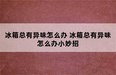 冰箱总有异味怎么办 冰箱总有异味怎么办小妙招